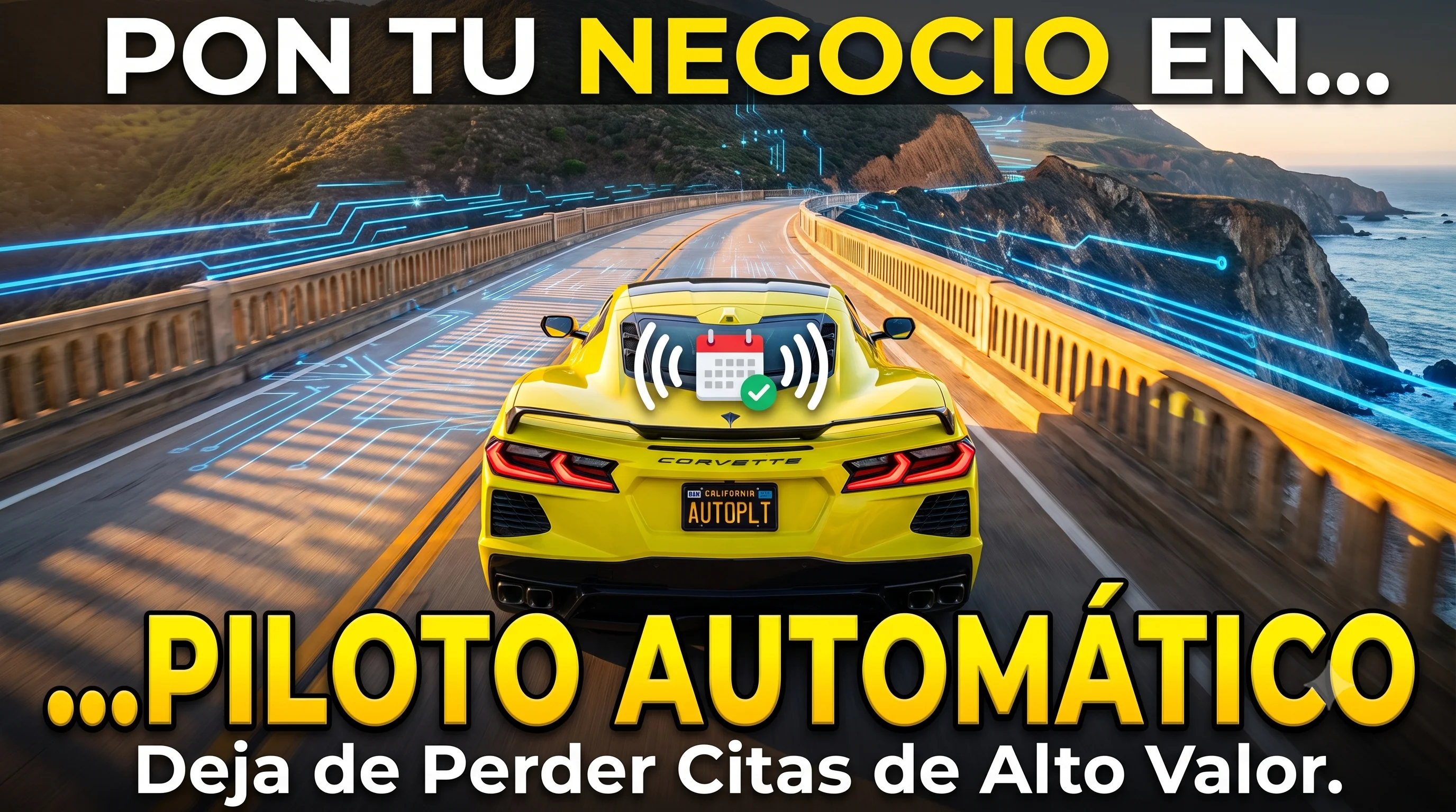 Put Your Business on AutoPilot